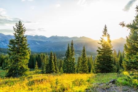 Private hiking tour at mount falcon from Denver