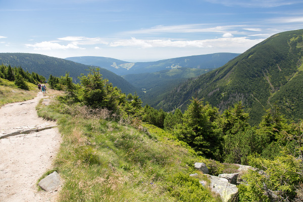 denver tours rocky mountains