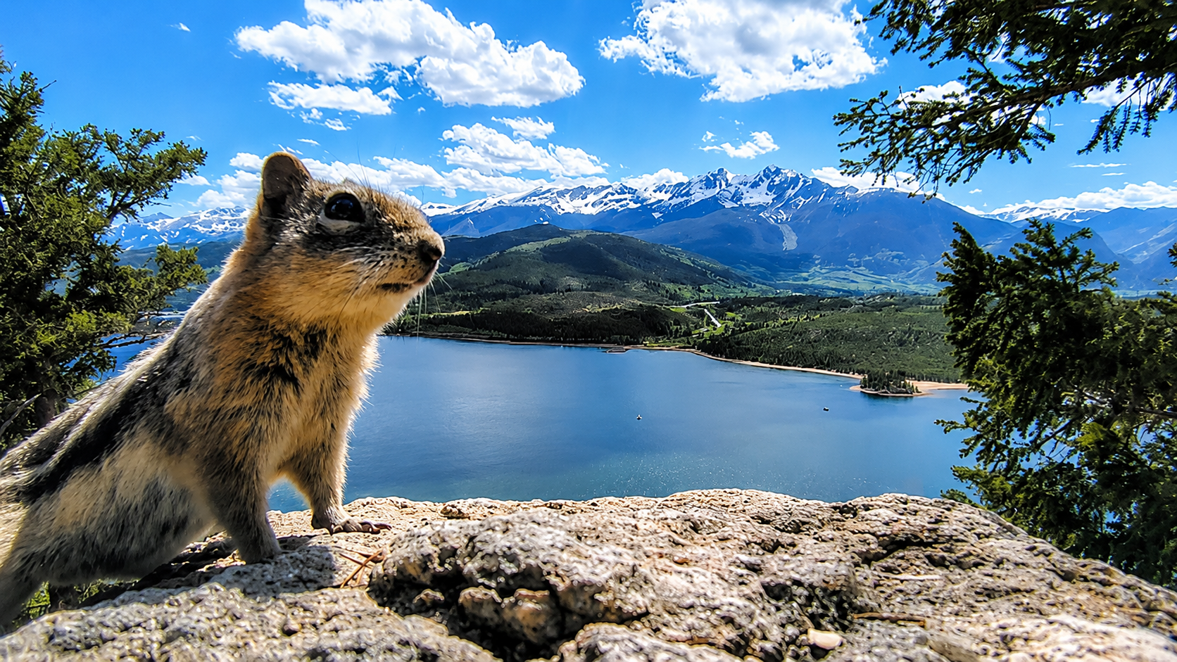 Private Breckenridge & Continental Divide Tour