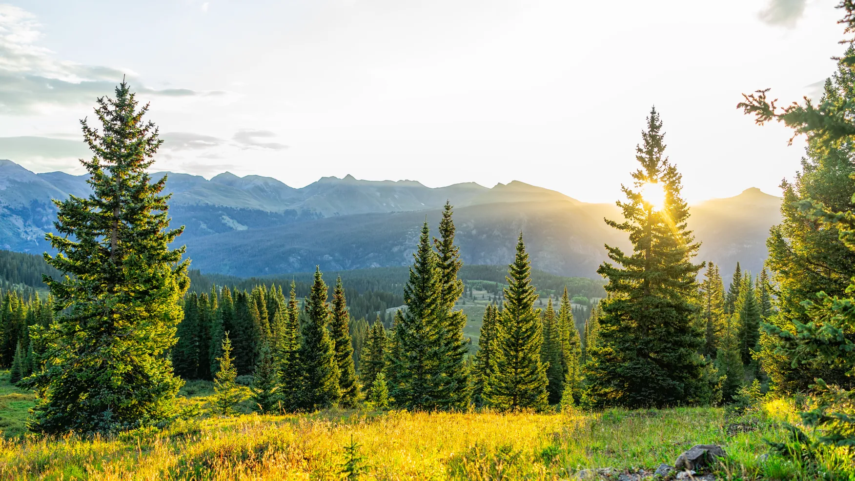 Private hiking tour at mount falcon from Denver